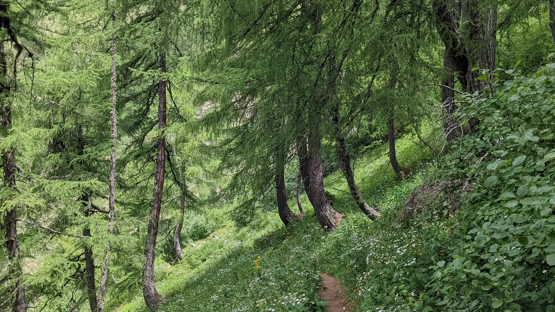Montée au col de l'escalier