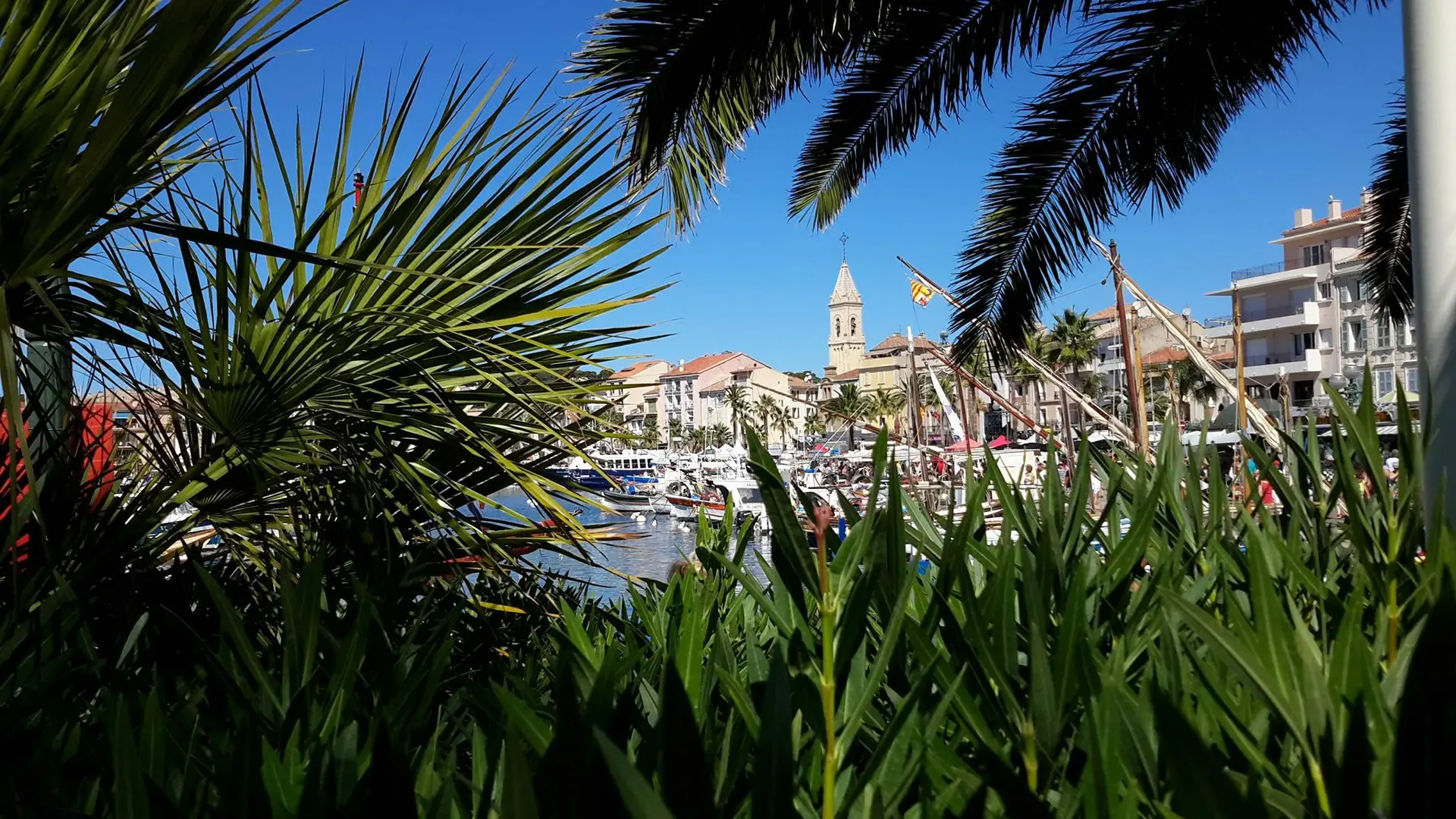 Le Port de Sanary