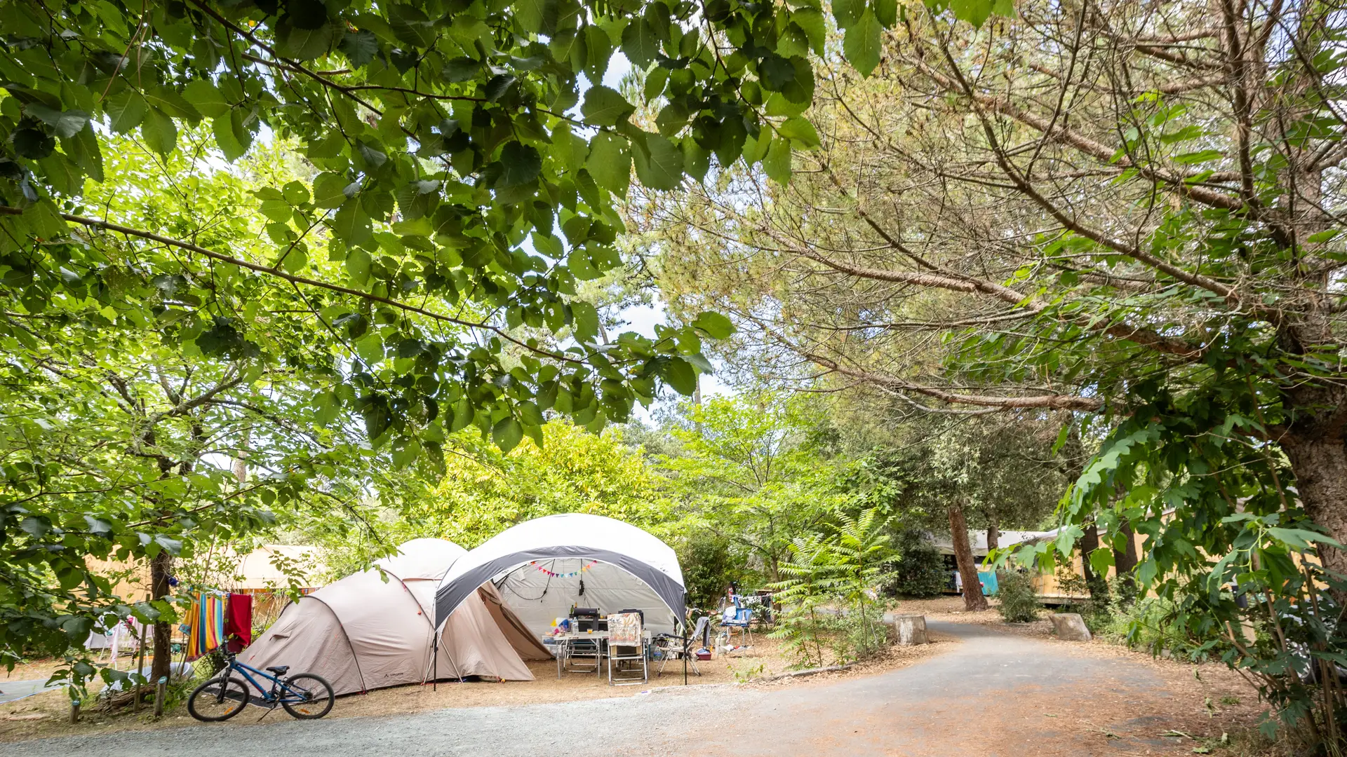 Emplacements et allée