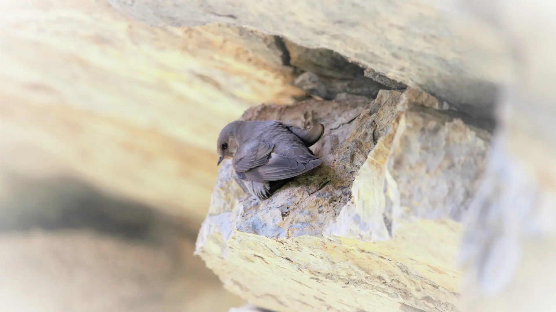 Le sentier des bancs