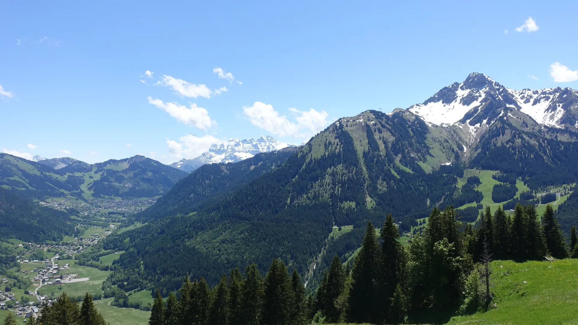 Le Mont de Grange - les Dents du Midi