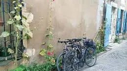 Bike ride
