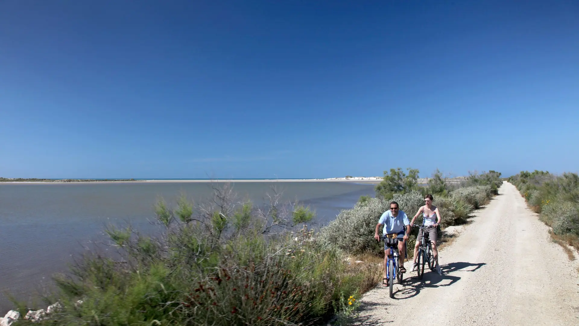 Cyclistes effectuant le circuit des Flamants roses et du sel