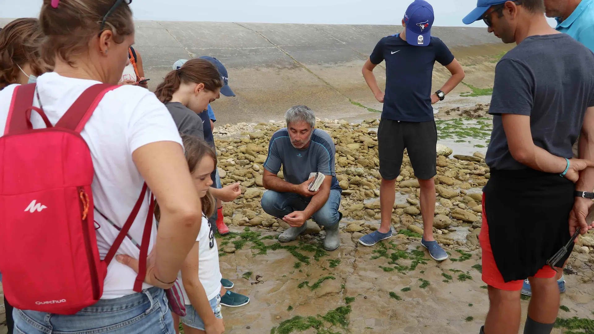 Découverte de l'estran