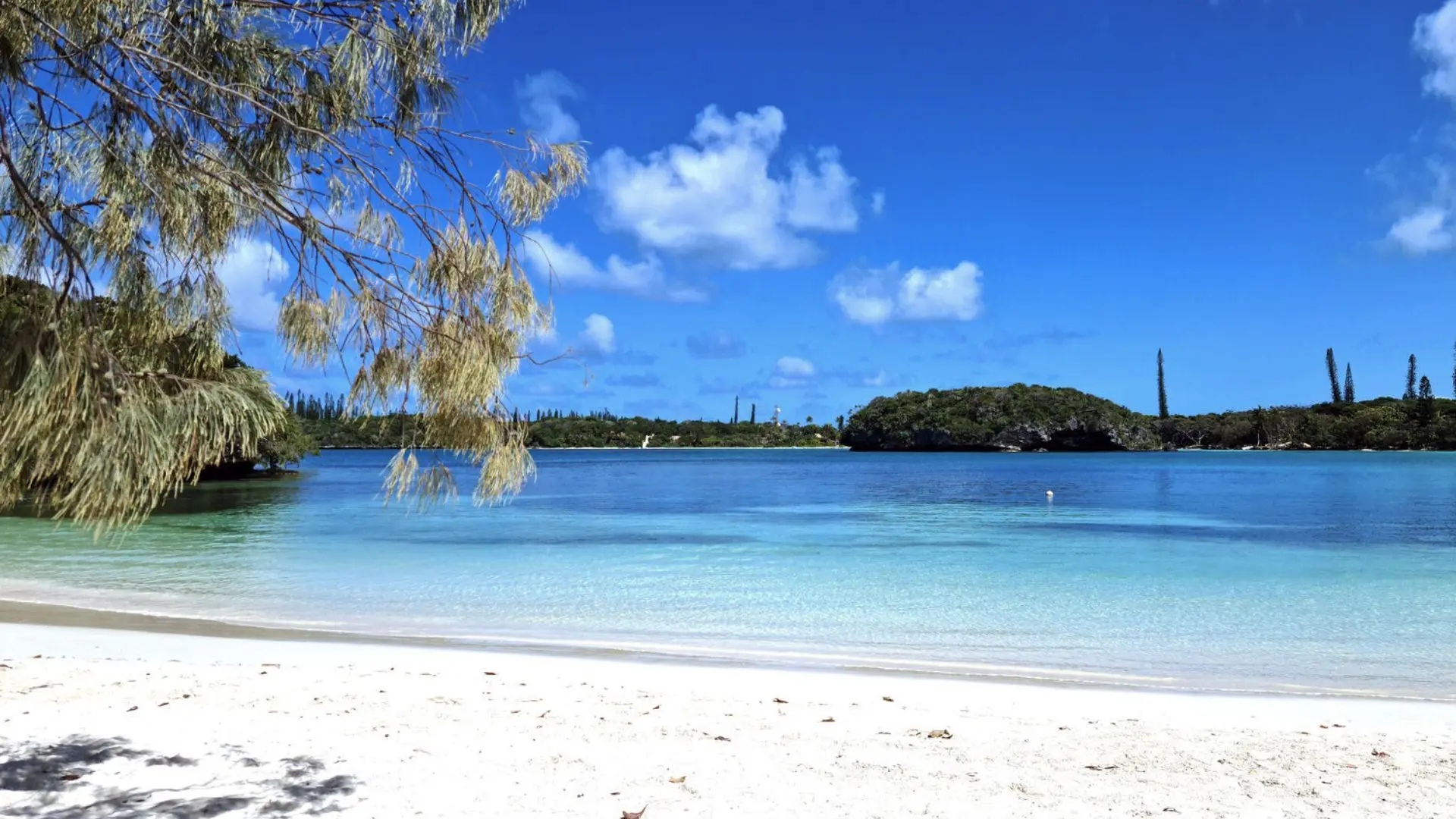 Plage de sable blanc de kanuméra à l'ïle des Pins