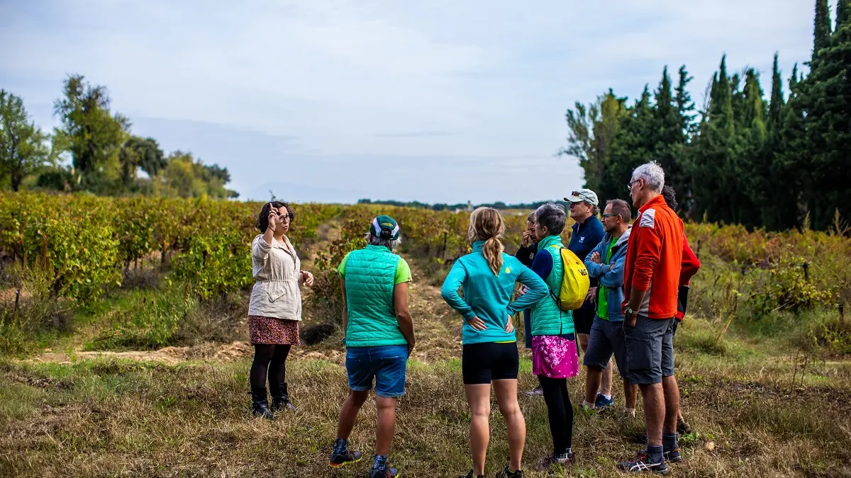 Des visiteurs qui suivent une visite dans les vignes au Château de Manissy