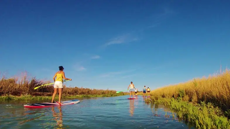 Randonnée en paddle dans l'île de Ré