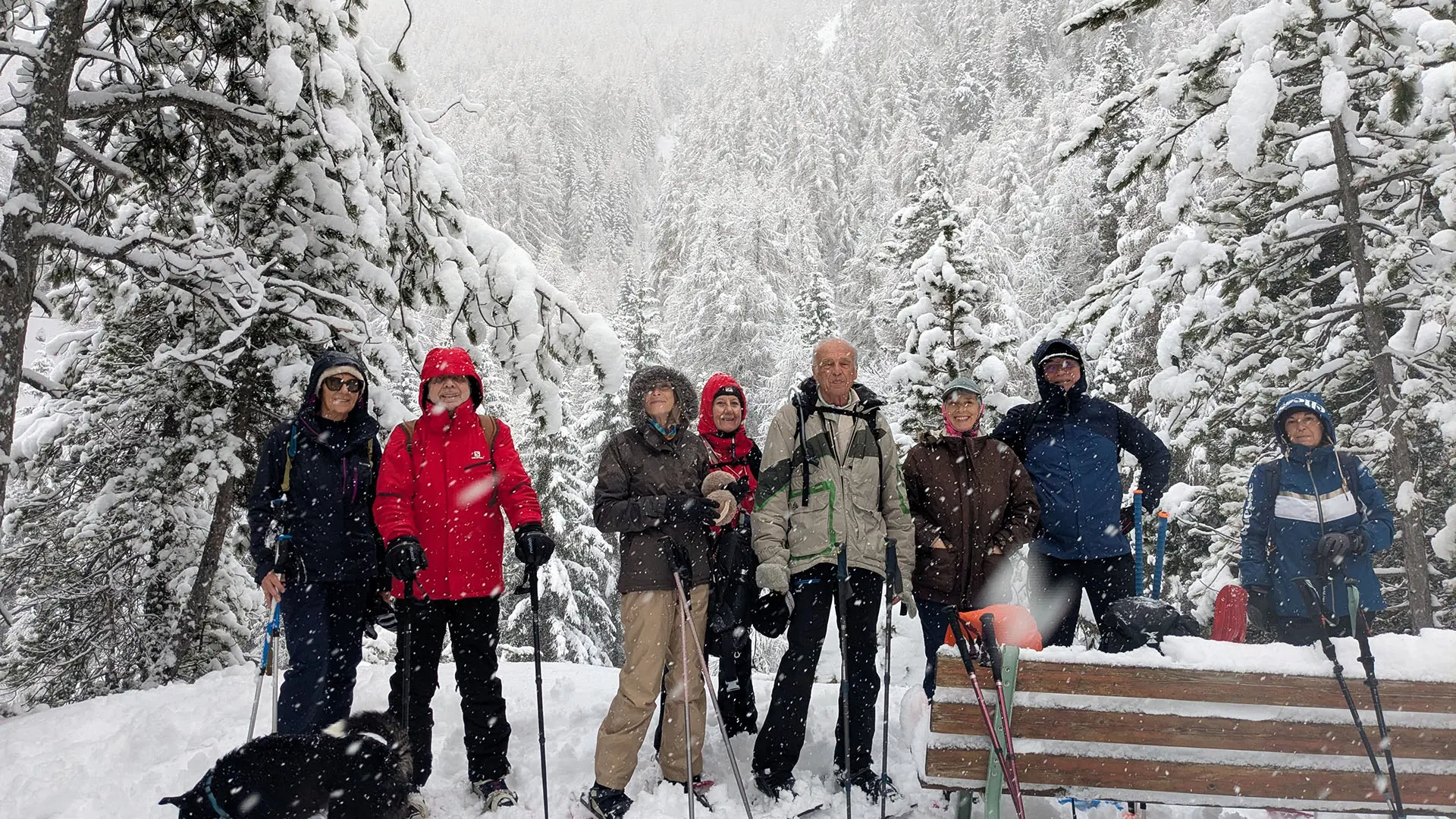 Raquettes avec En terrain connu