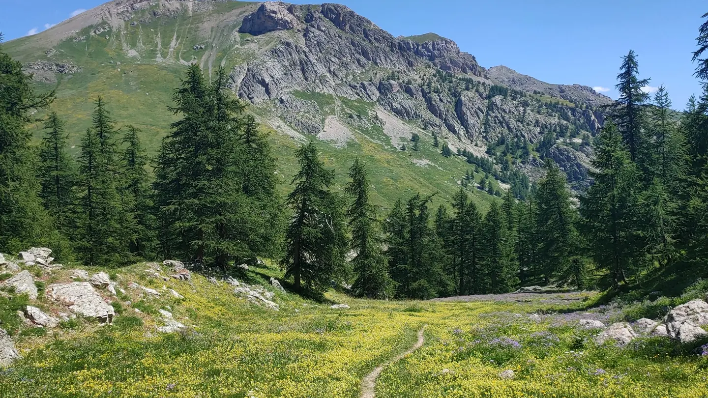 Réserve des Partias