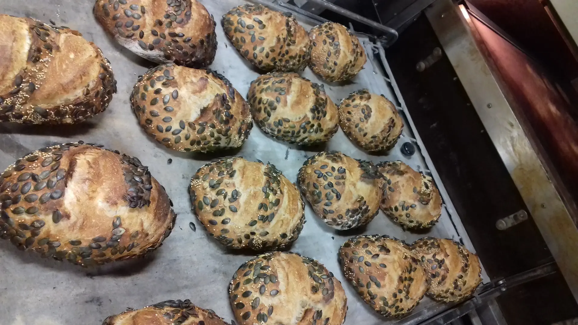 campagne avec couverture de graines à la sortie du four