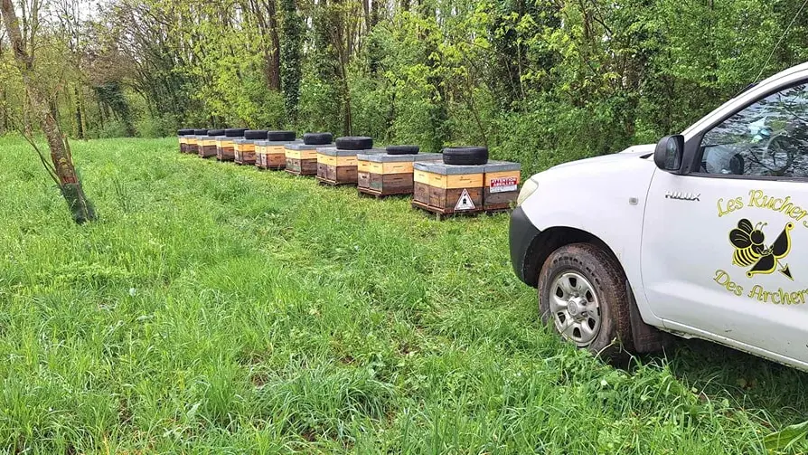 Les Ruchers des Archers
