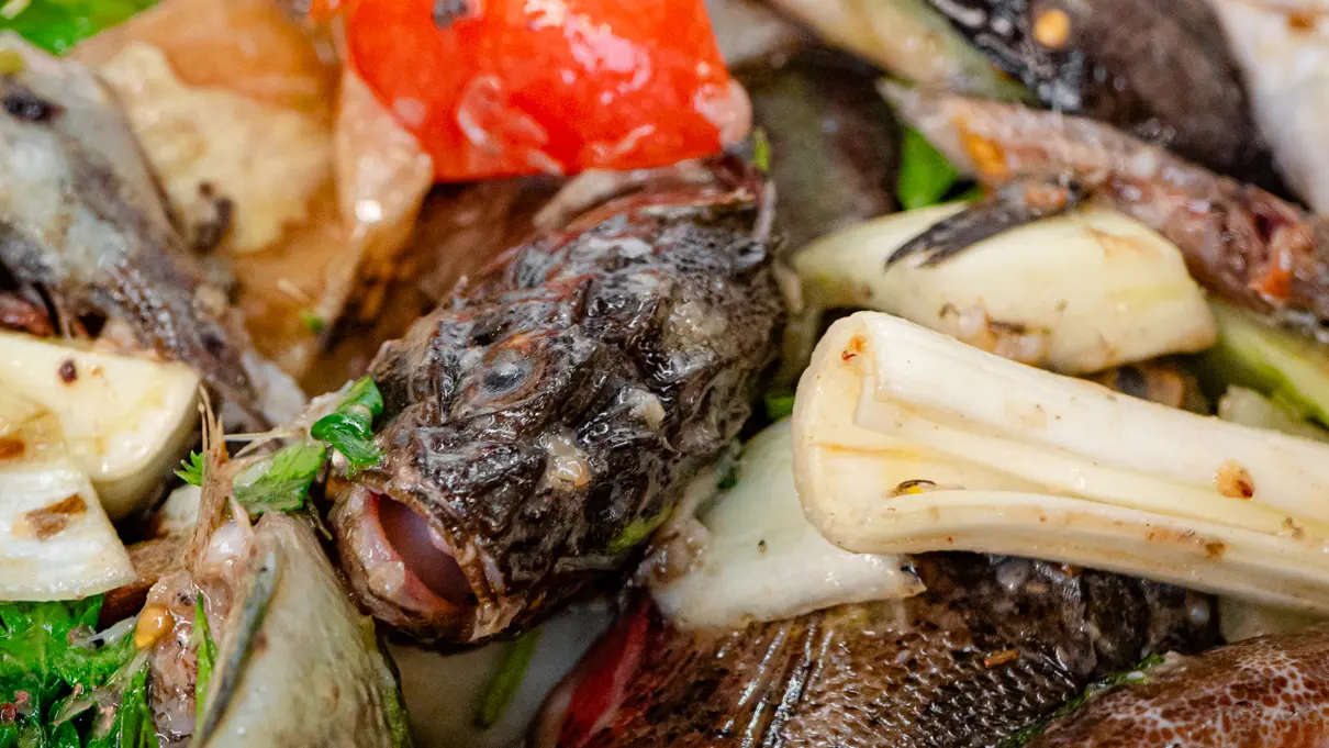 Le Méditerranée_Bandol