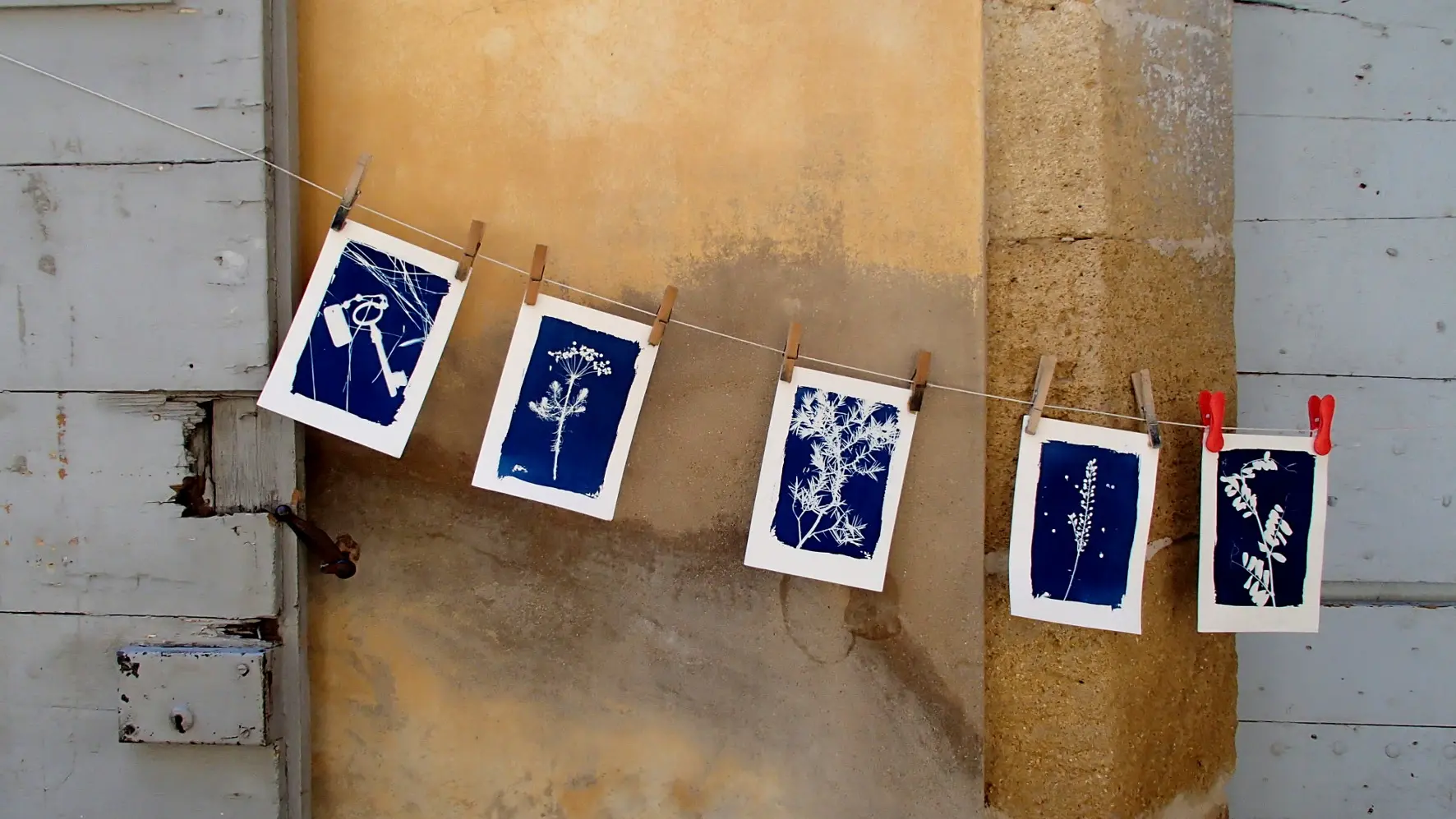 Initiation au cyanotype