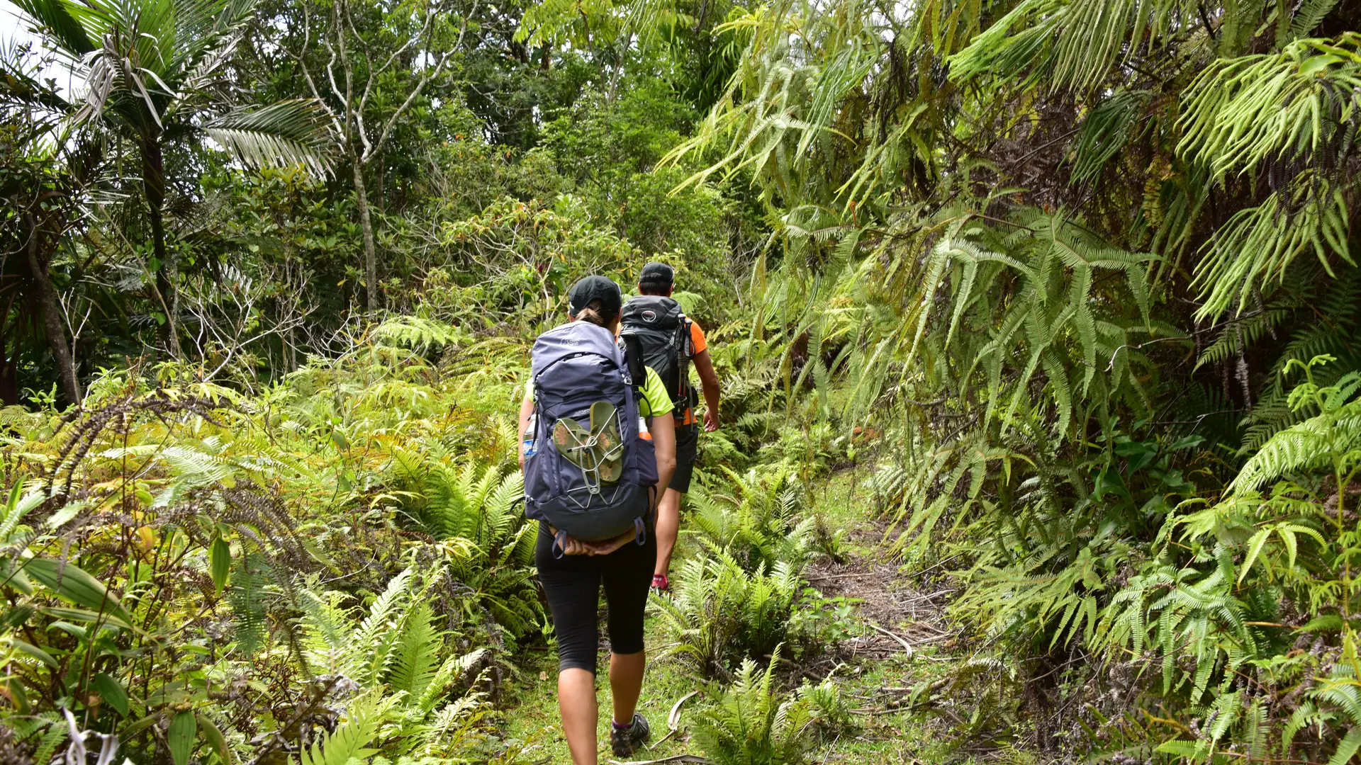 Le sentier à la sortie de Napoepa