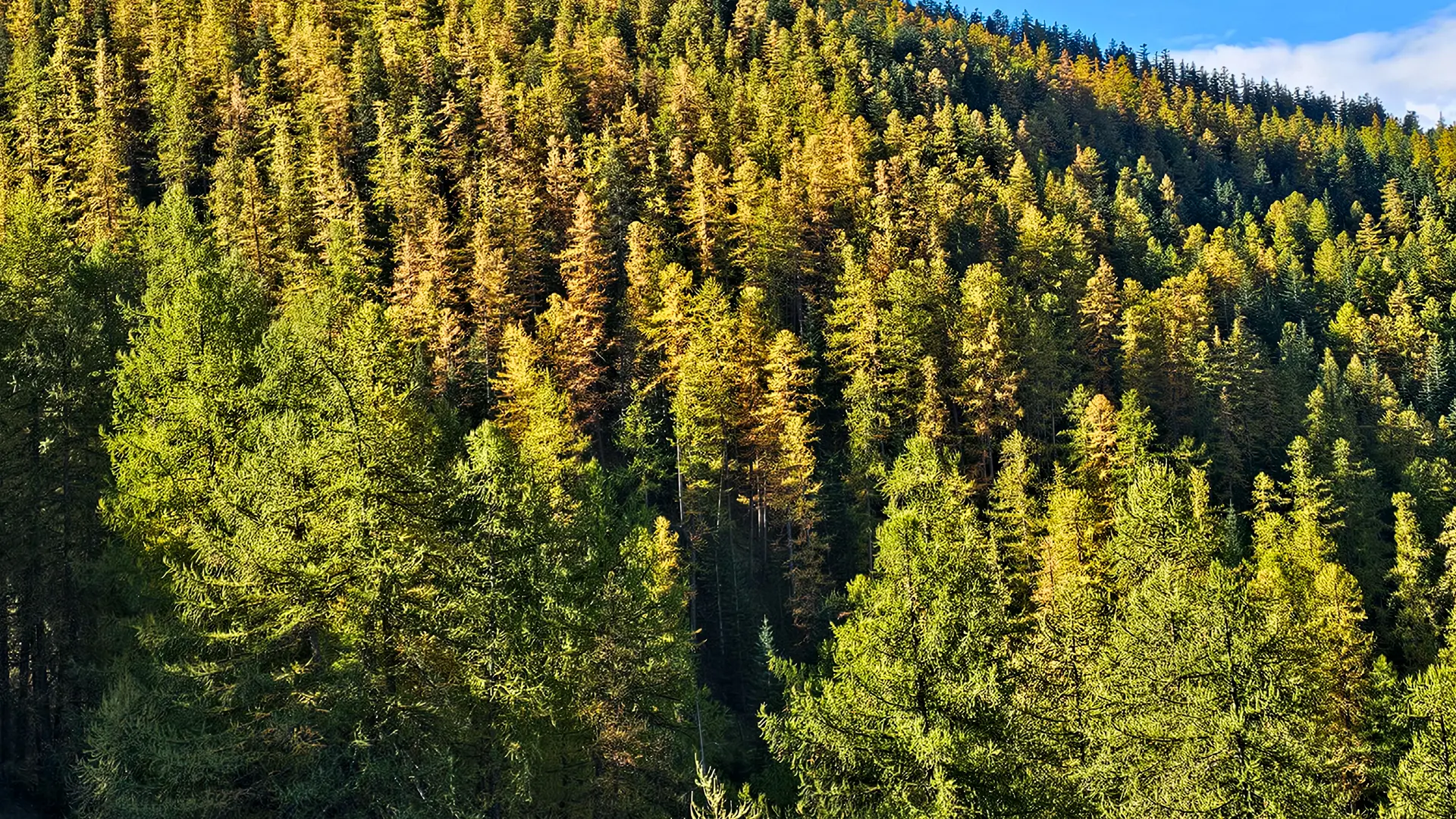 Le Mélézin_Villar-Saint-Pancrace