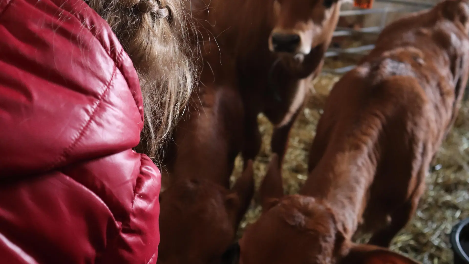 Visite de la ferme du Lasseron