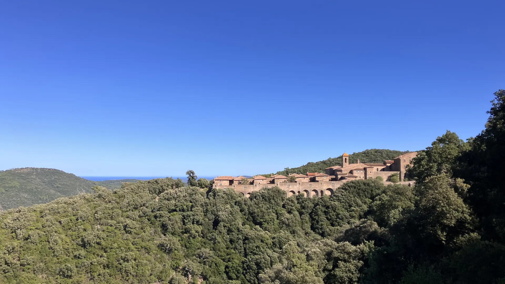 Chartreuse de la Verne à Collobrières