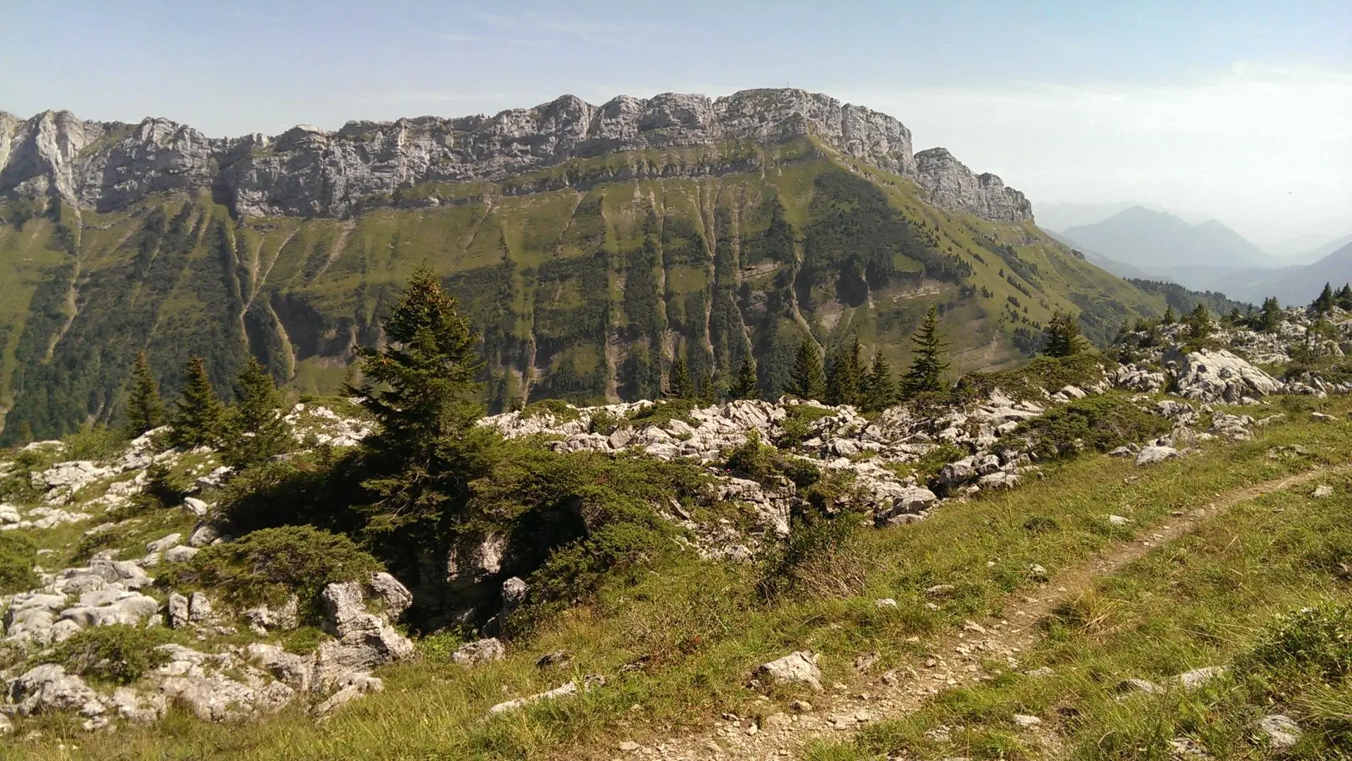 Sur les sommets du Plateau en été