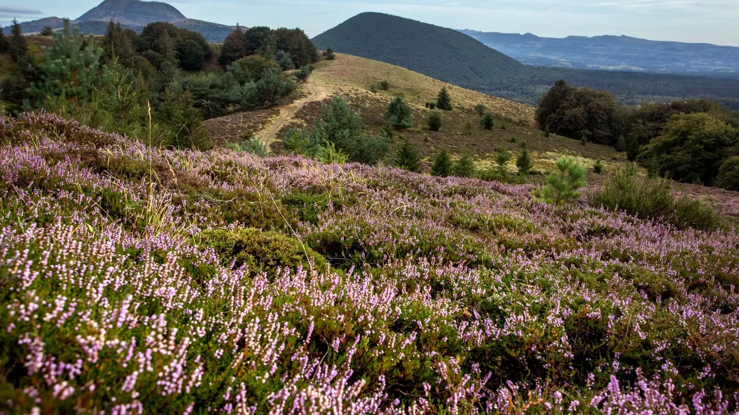 Randonnée en chaîne des puys