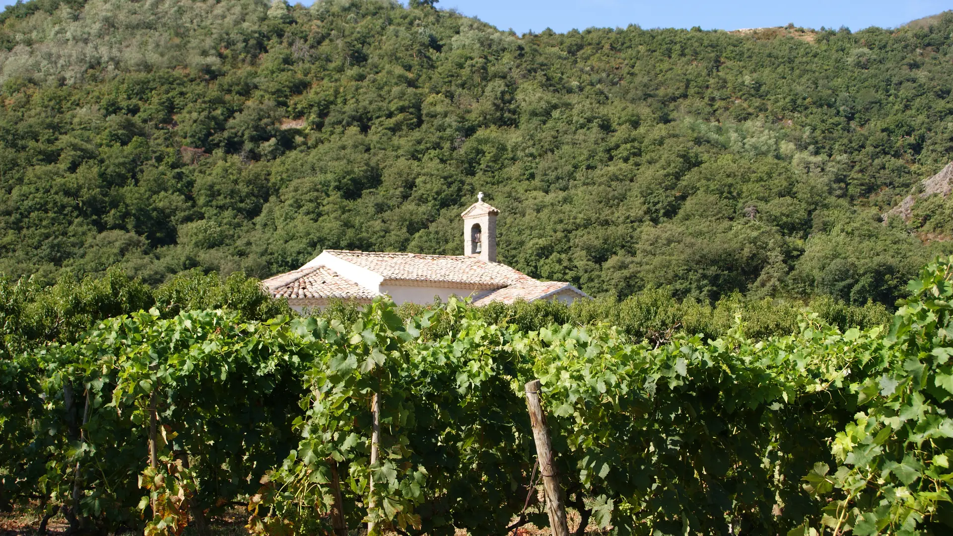 Vue de la Chapelle Saint Bosc au milieu des vergers et du vignoble de Saint Joseph - Andance