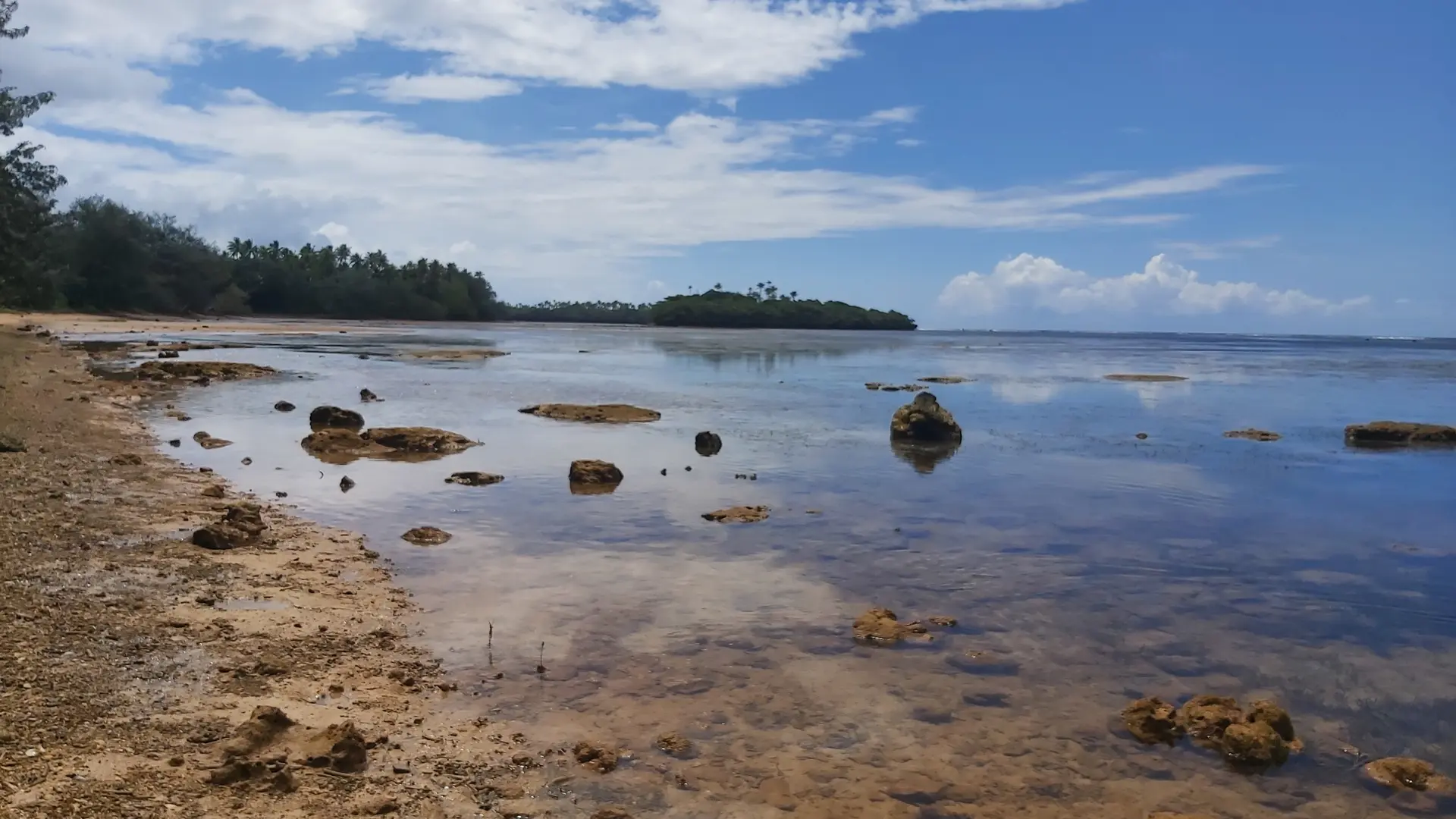 10 mètres de platier se dévoilent à marrée basse !