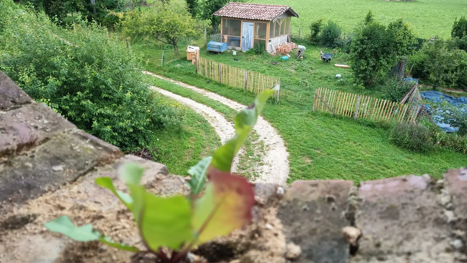 poulailler-serre et prairie depuis la maison