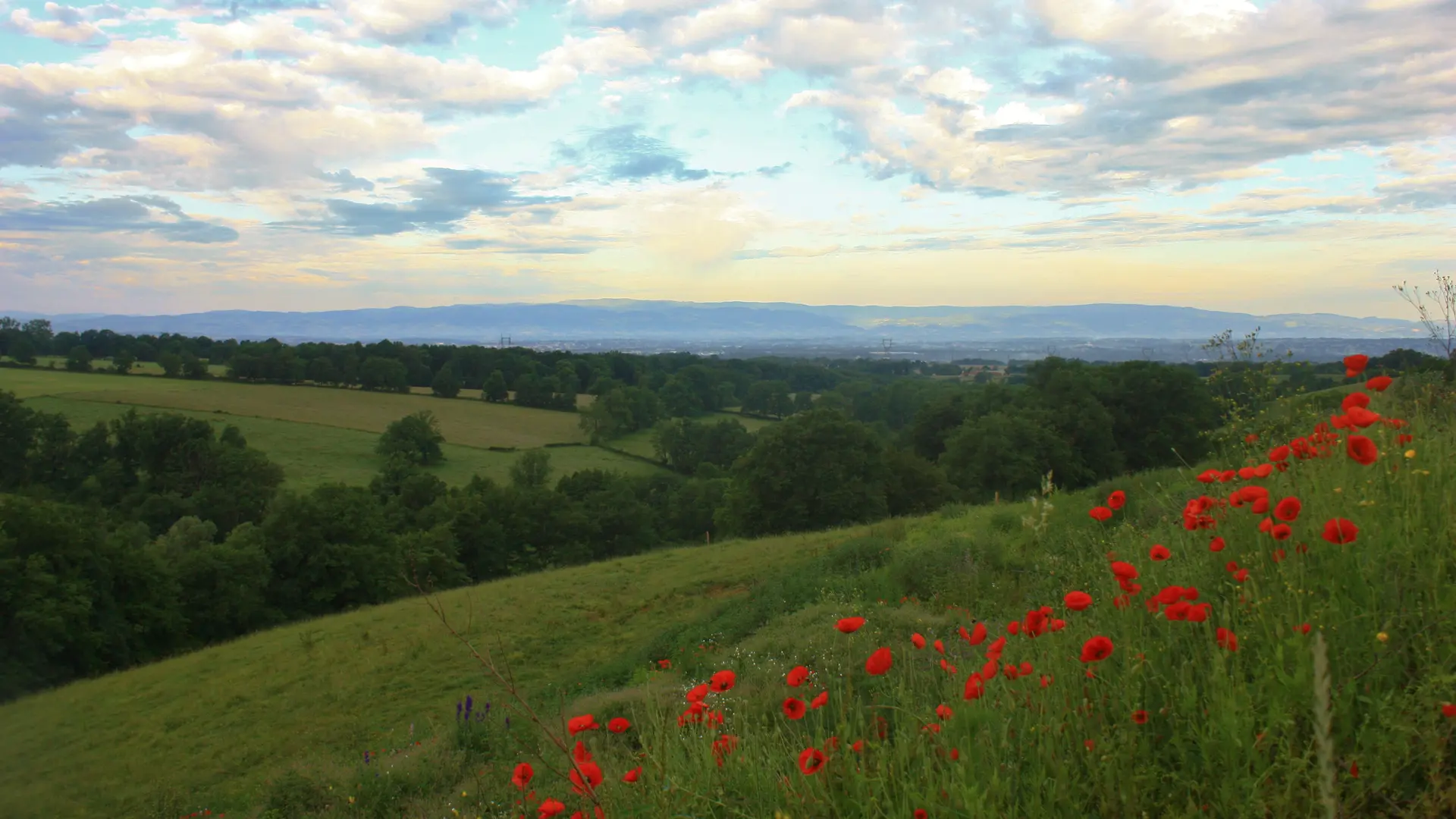 Vue extérieure