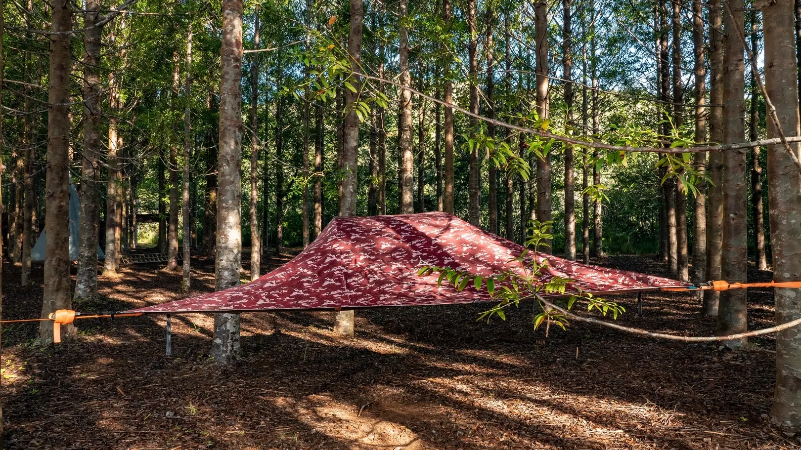 Plutôt camping ? Loisirs Concept vous propose encore plus ! Des tentes suspendues pour un camping d'un tout autre point de vue !