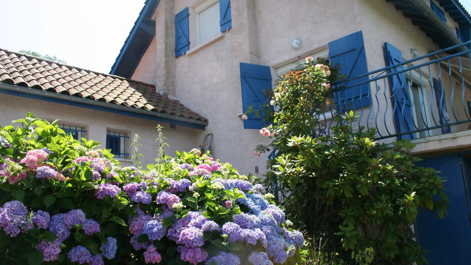 extérieur fleuri