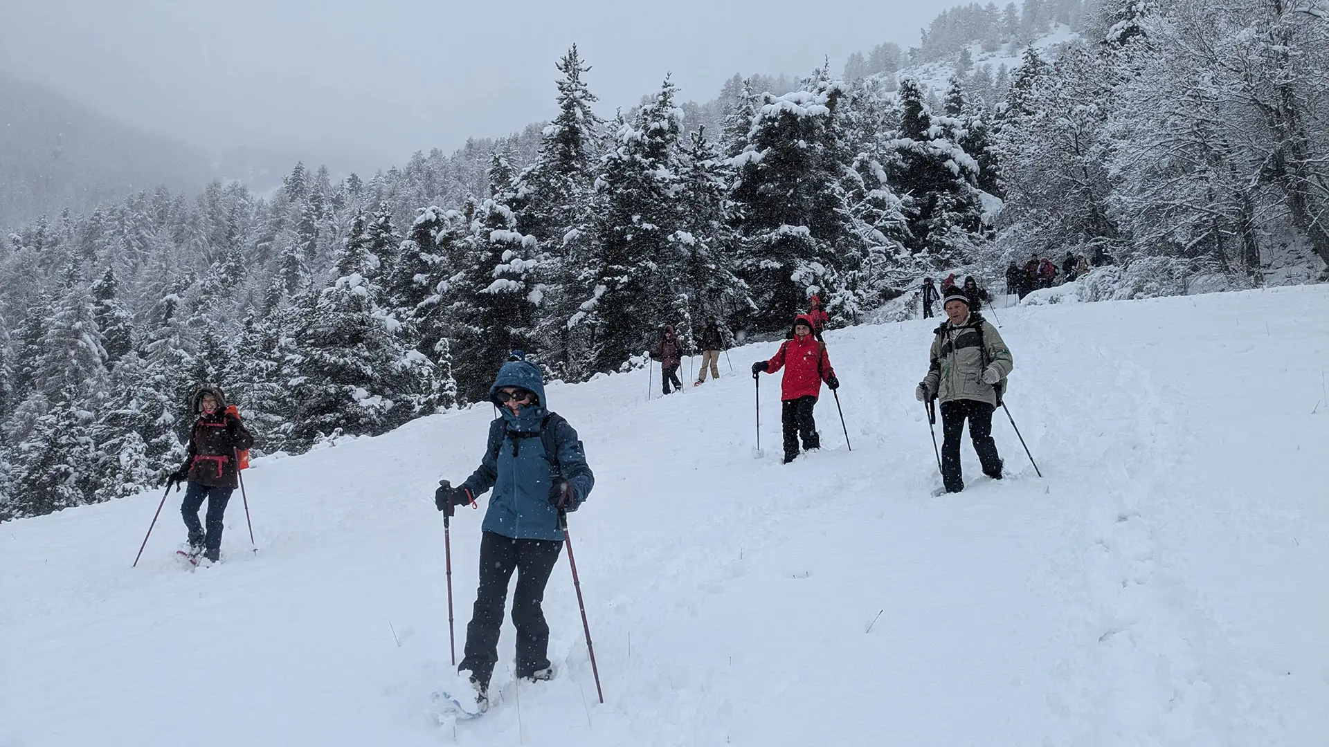 Raquettes avec En terrain connu