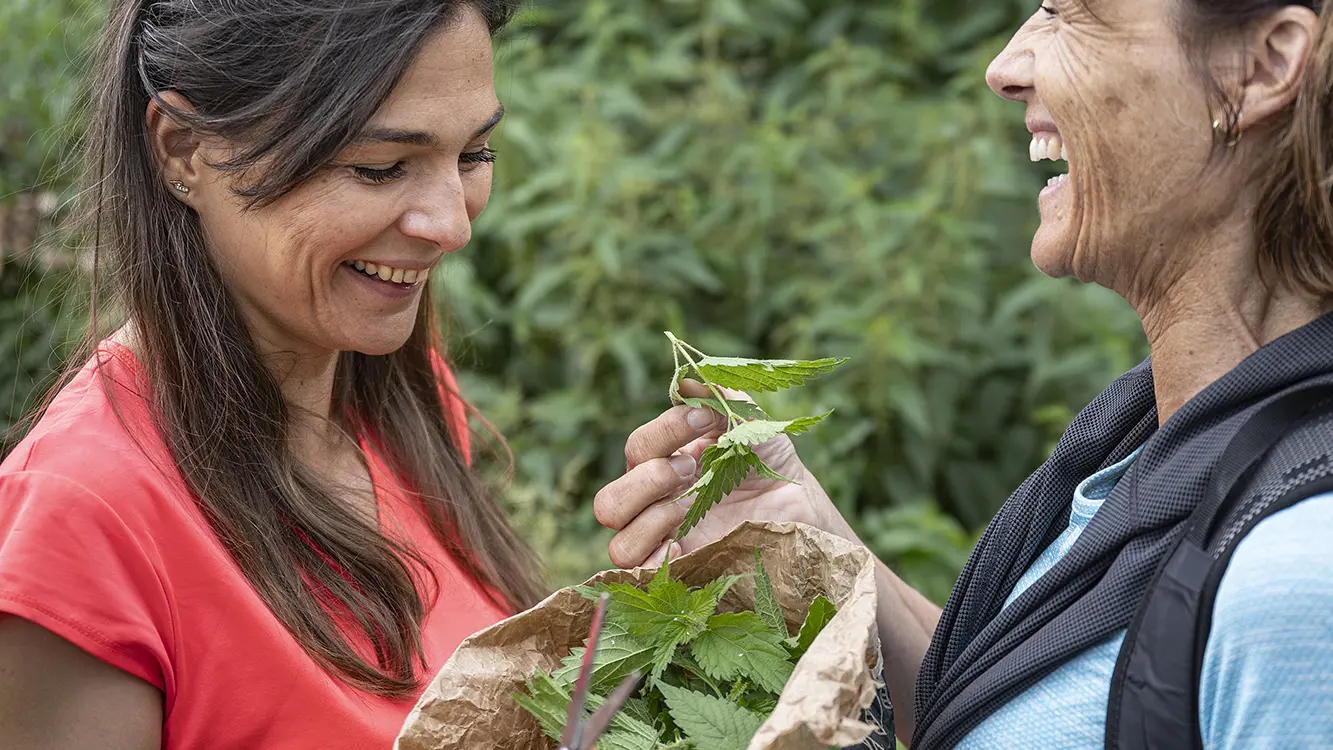 découverte des plantes comestibles des montagnes