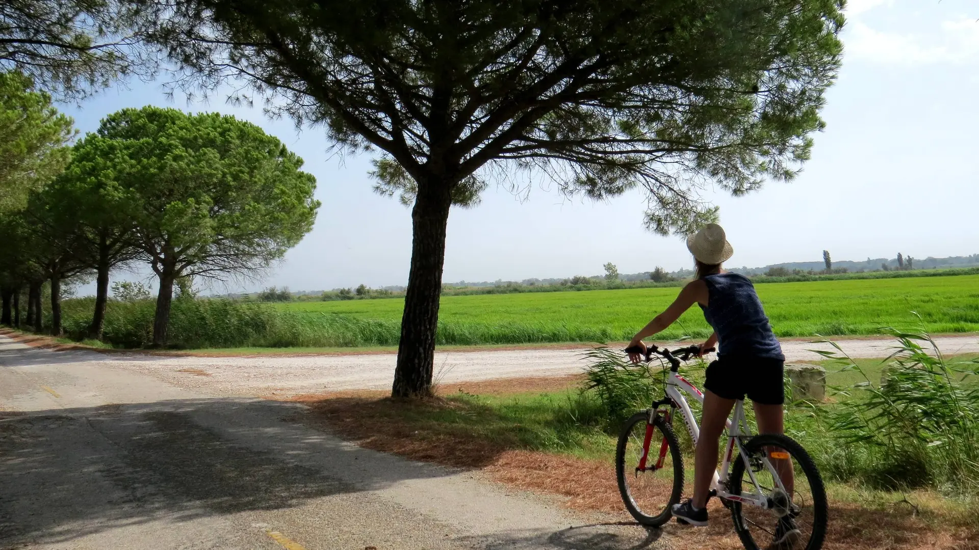 Cycliste devant une rizière