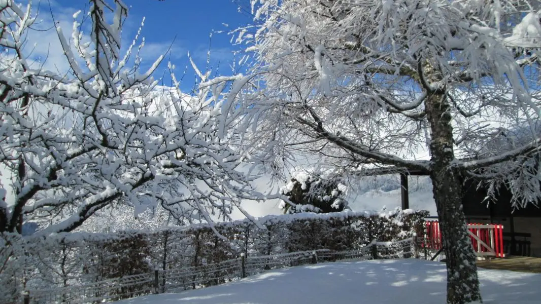 Vue hivernale d'une partie du terrain clos