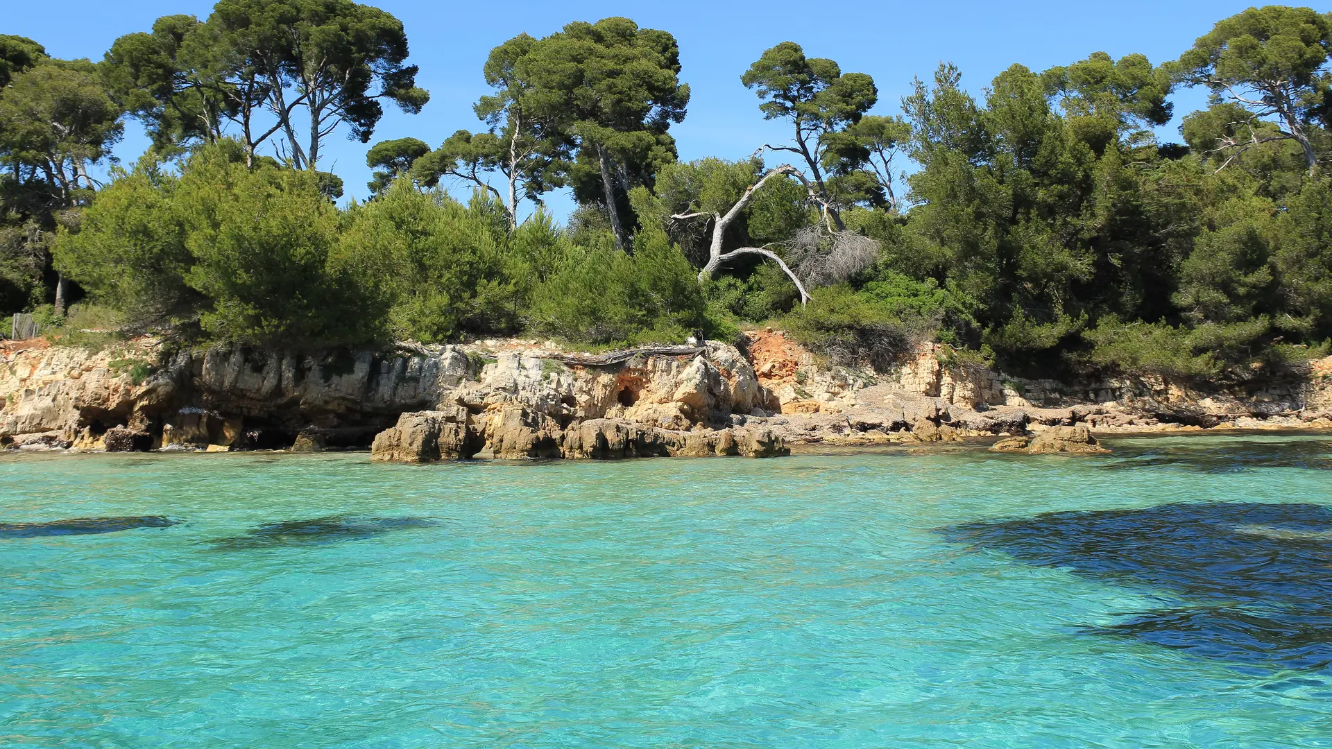 Location de bateau sans permis à Cannes - Journée avec Solar Boat