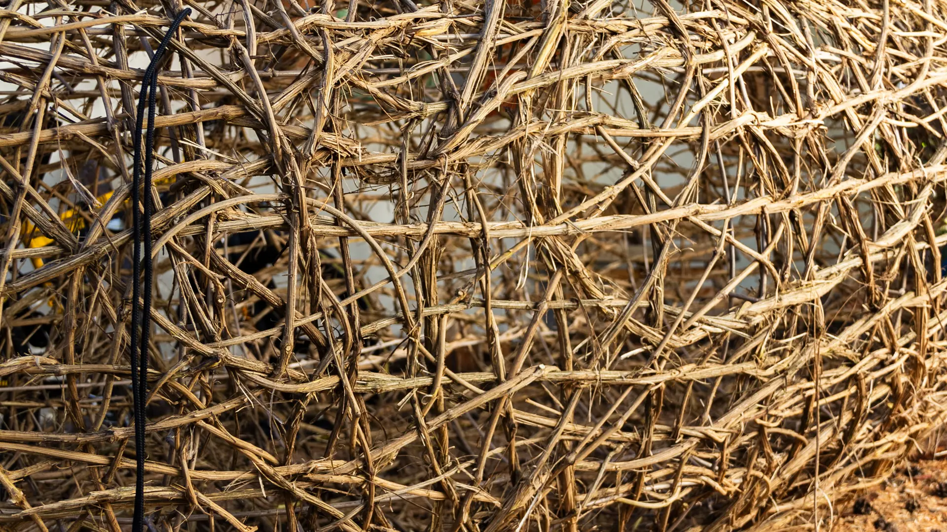 Oeuvre de Véronique Matteudi