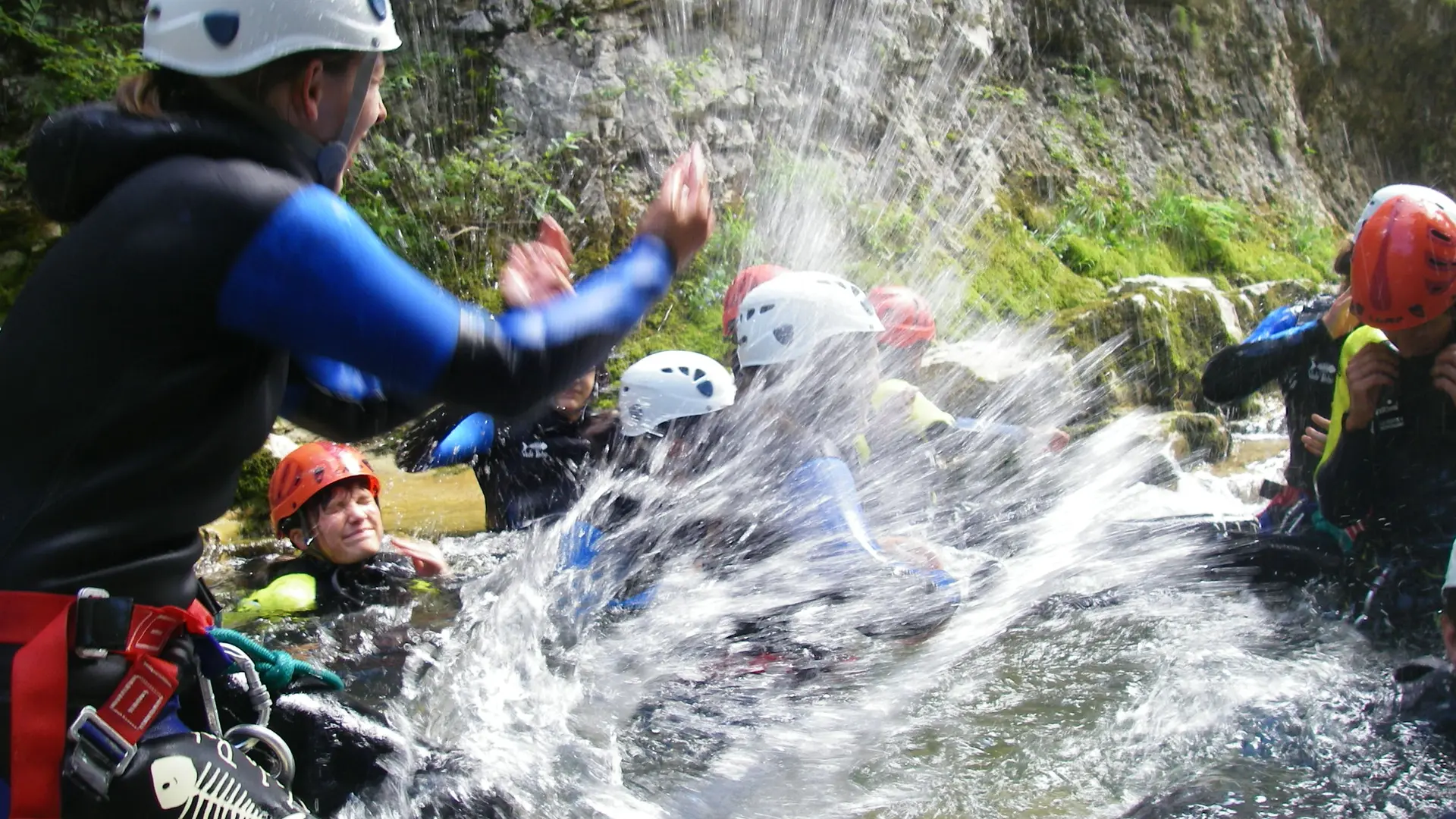 lezard des bois conyoning