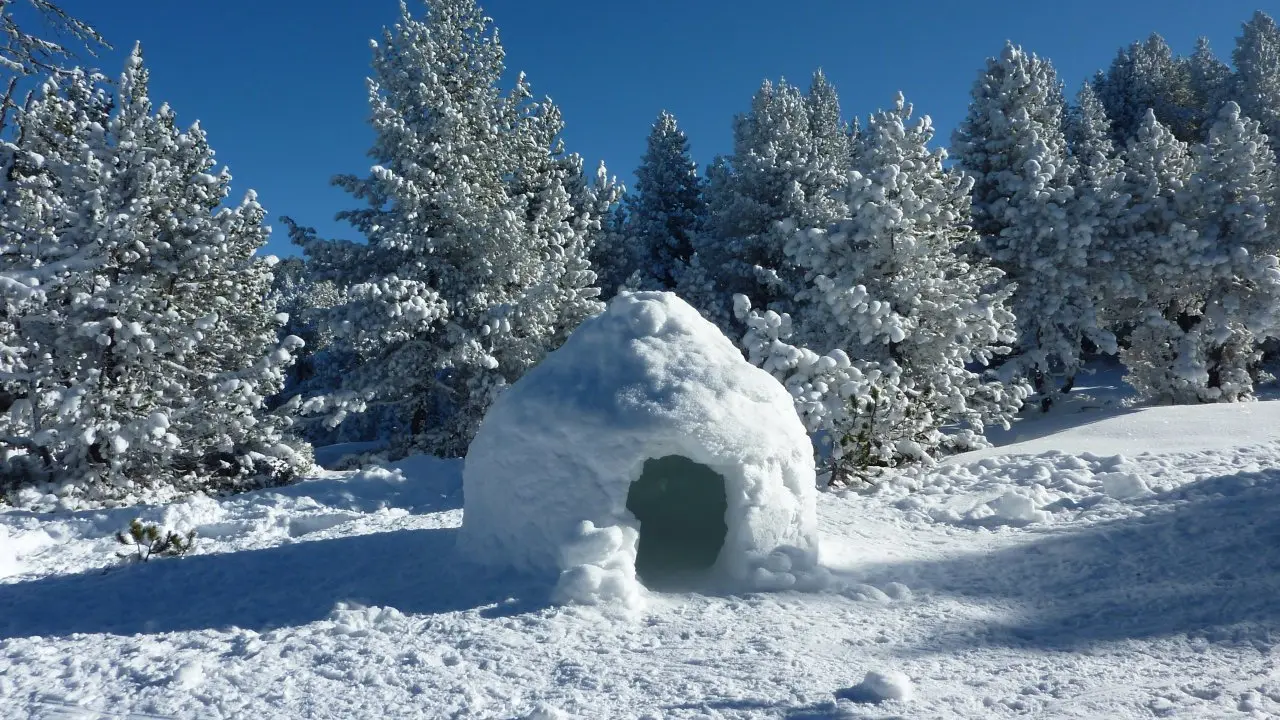 Igloo