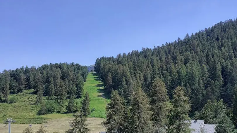 Gîte Les Cerfs-Vue depuis le gîte-Roubion-Gîtes de France des Alpes-Maritimes