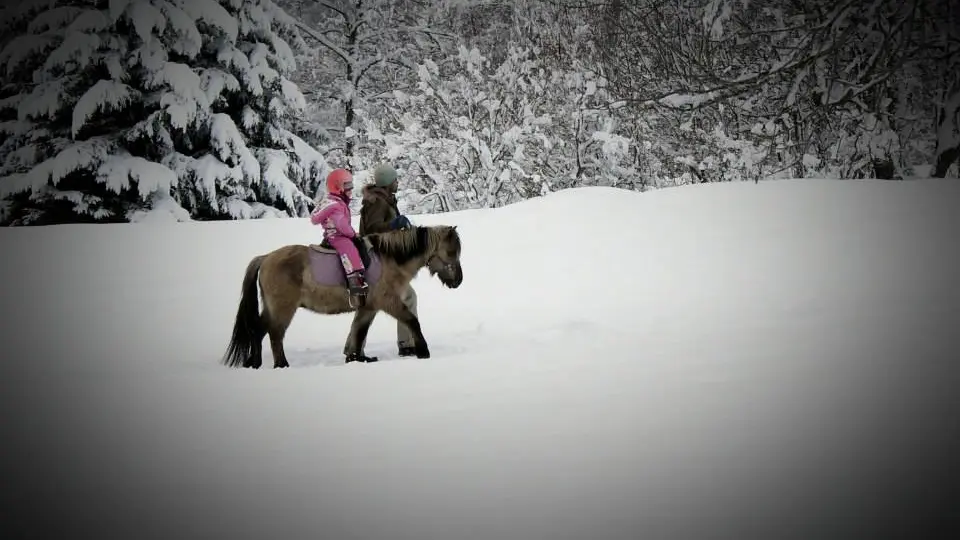 Promenade Poney Neige famille