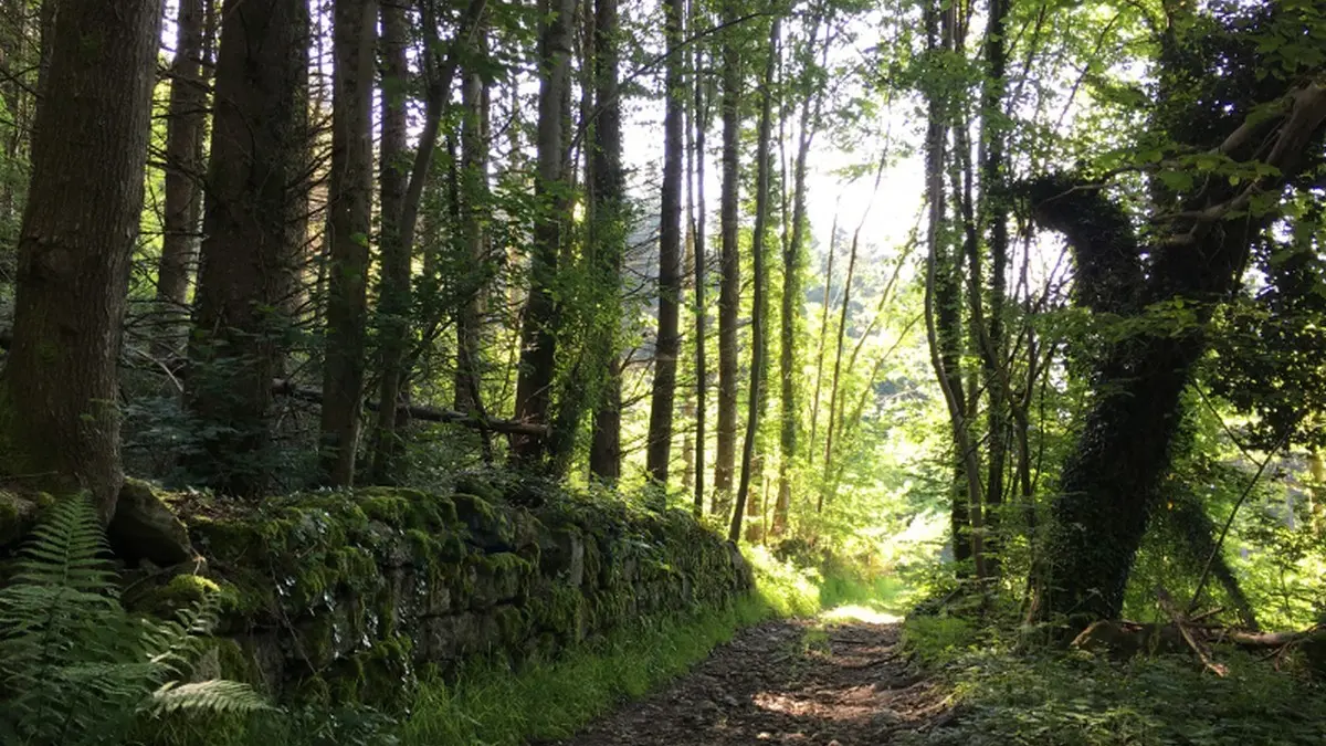 Ce parcours vous conduit dans une ambiance forestière jusqu’au Col des Allebasses, pour découvrir ensuite les vestiges de l’activité papetière du XVe siècle.