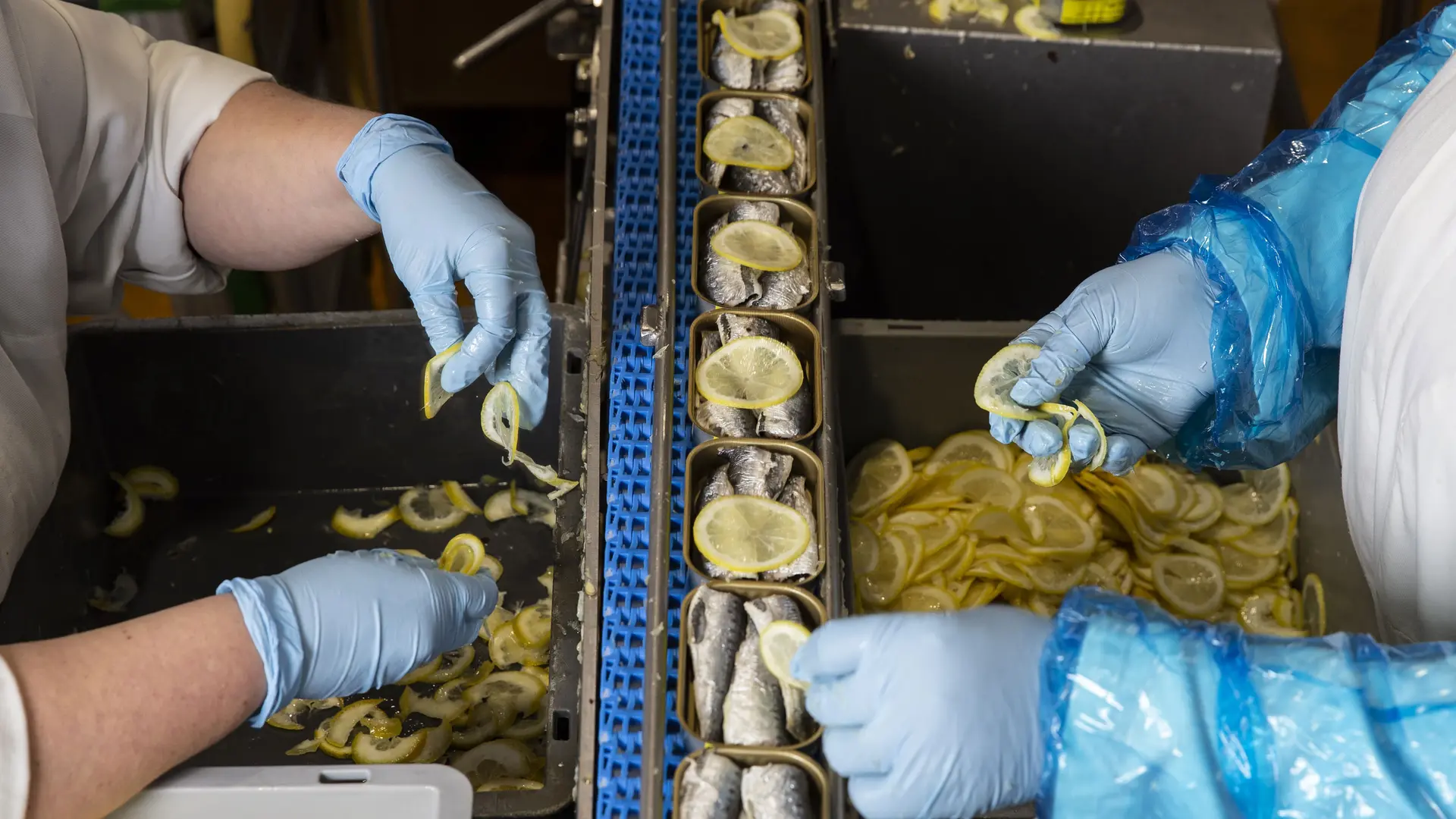 Preparando las latas de sardinas