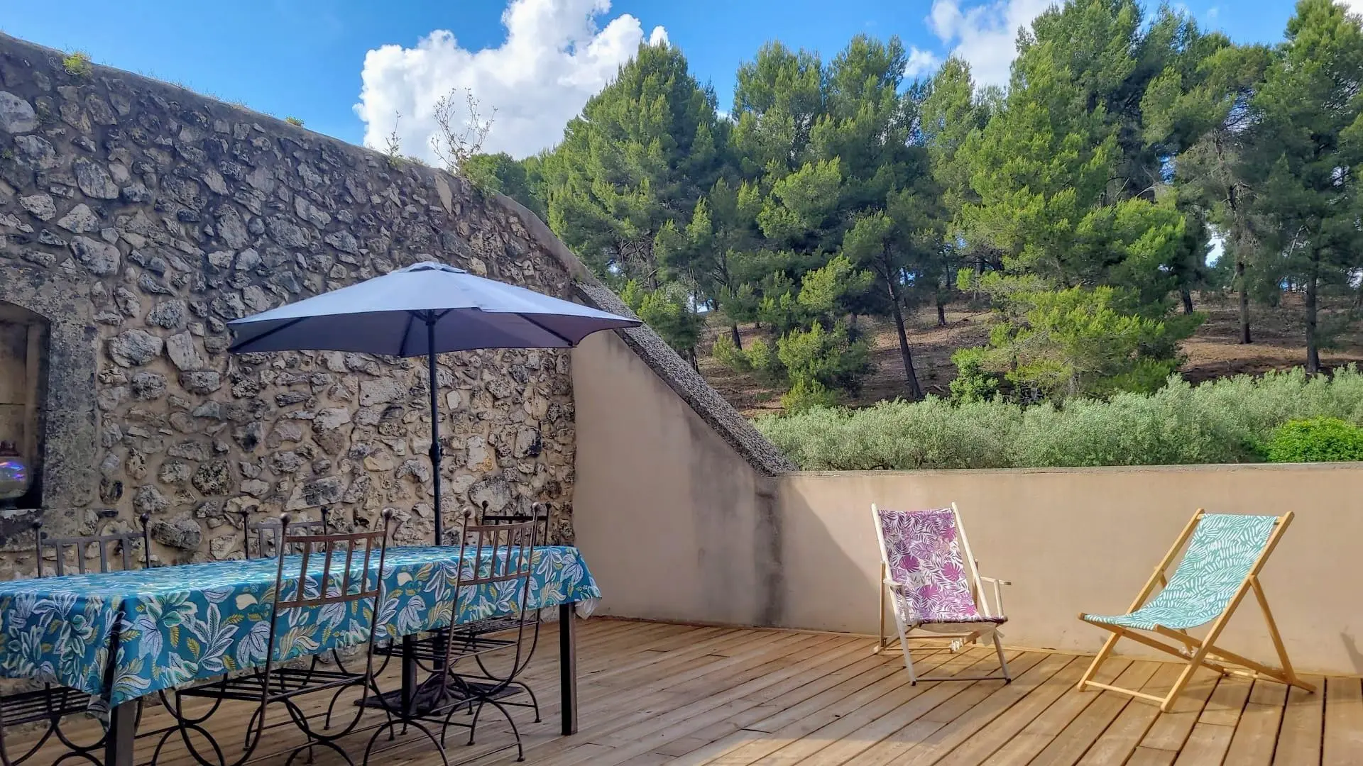 Terrasse avec vue sur les oliviers et la pinède