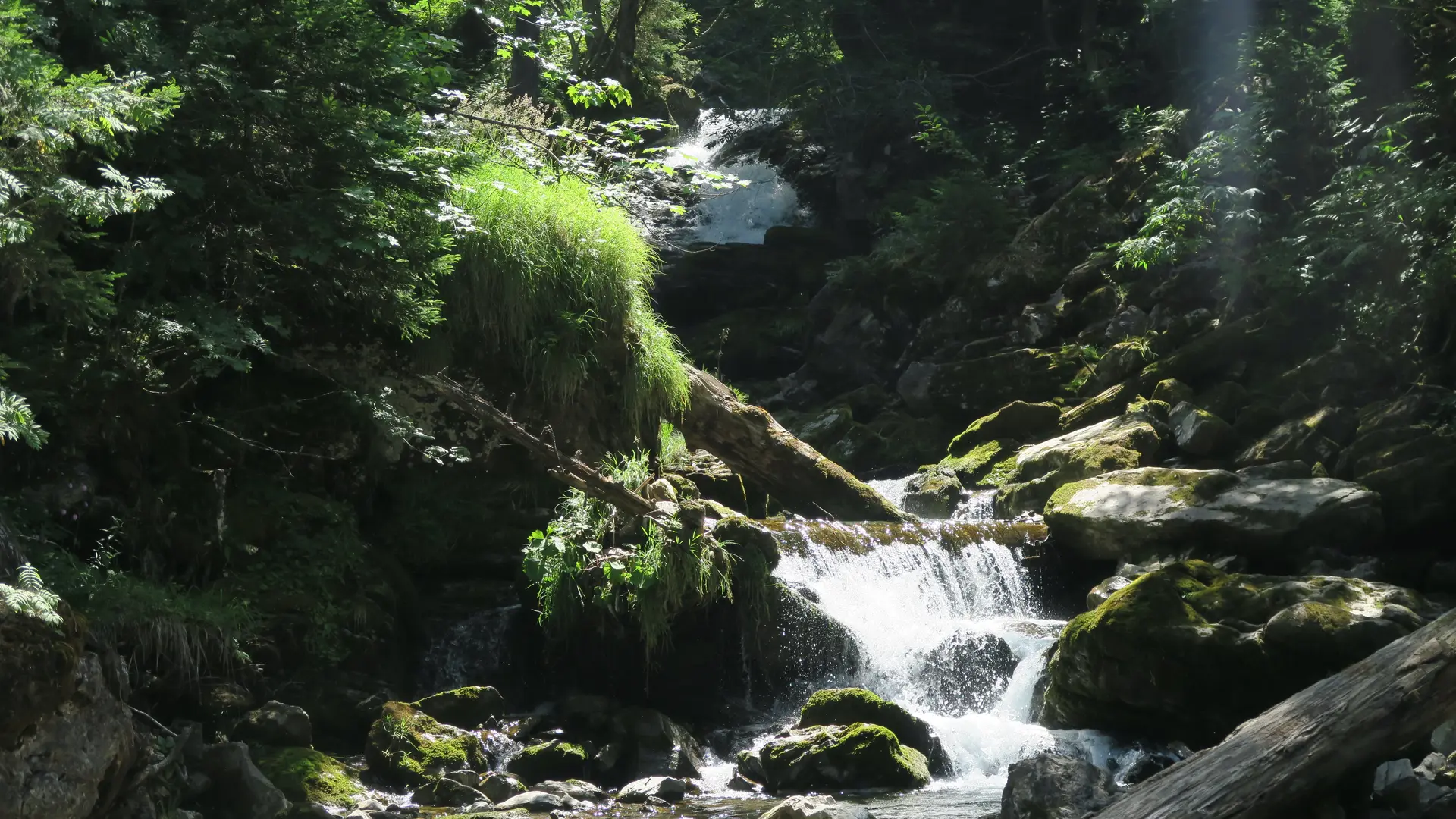 Ruisseau d'Ardent aux Lindarets