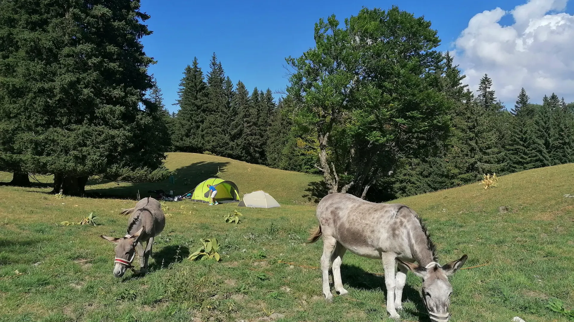 Bivouacs en pleine nature