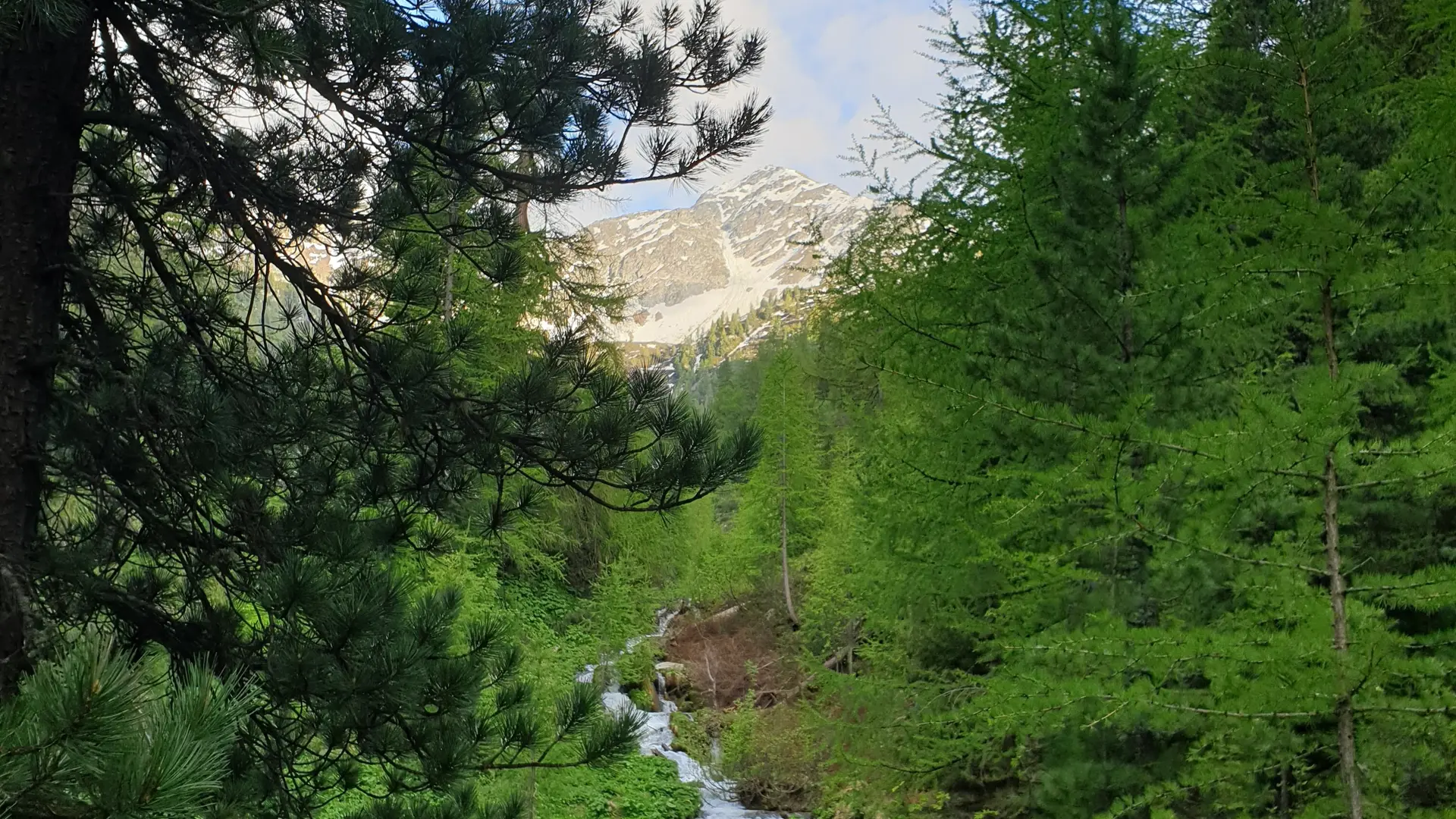 Fluss