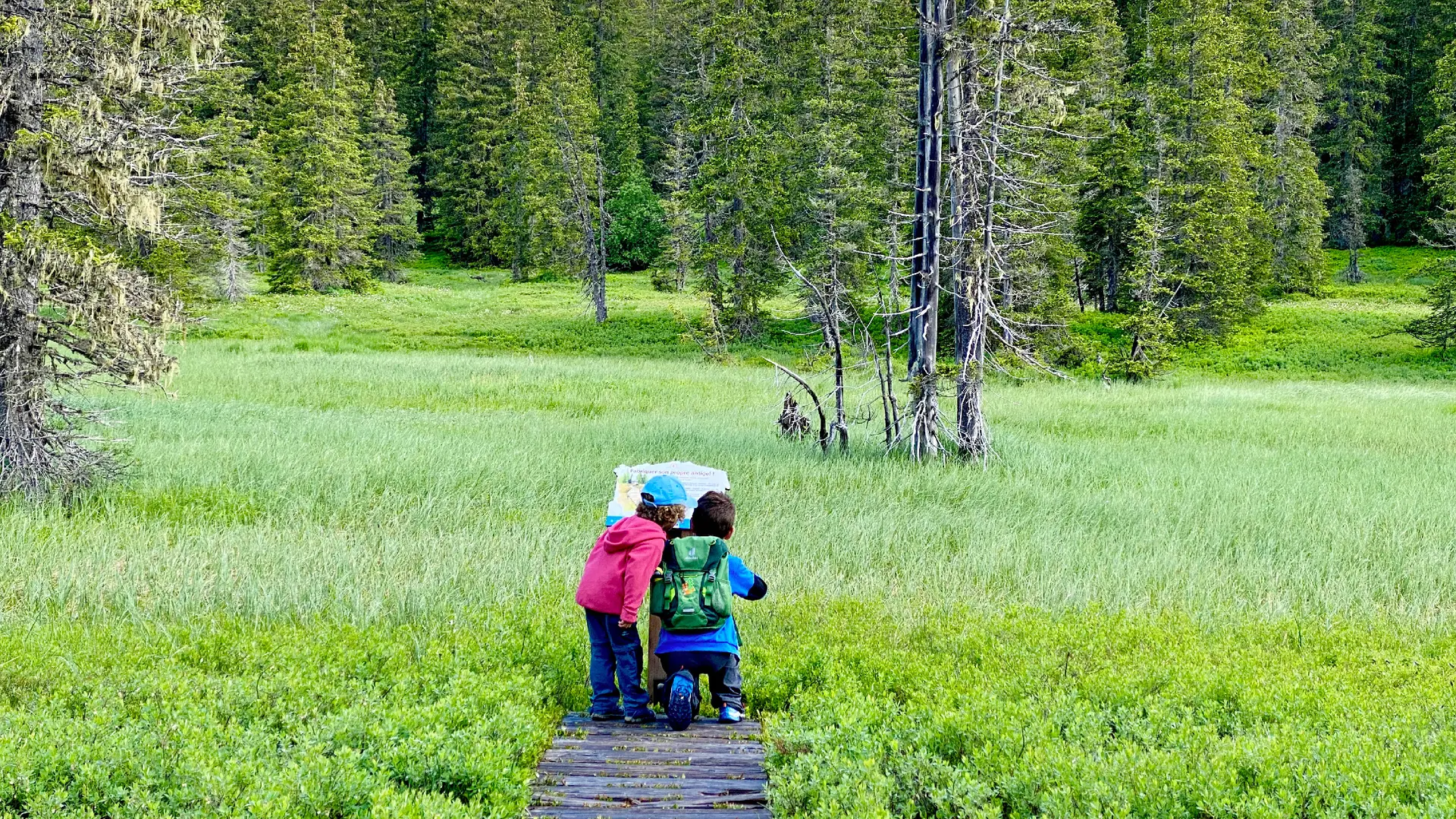 Sentier des Arpelières avec les enfants