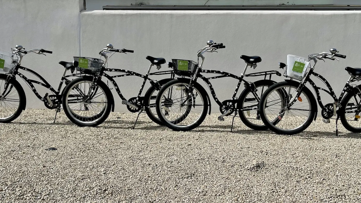 The bicycles of 36