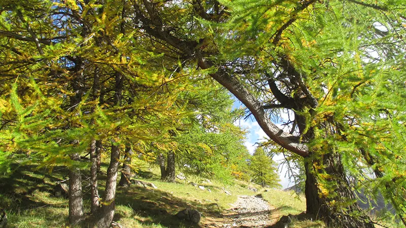 M Beaudoire, accompagnatrice en montagne diplômée d'Etat