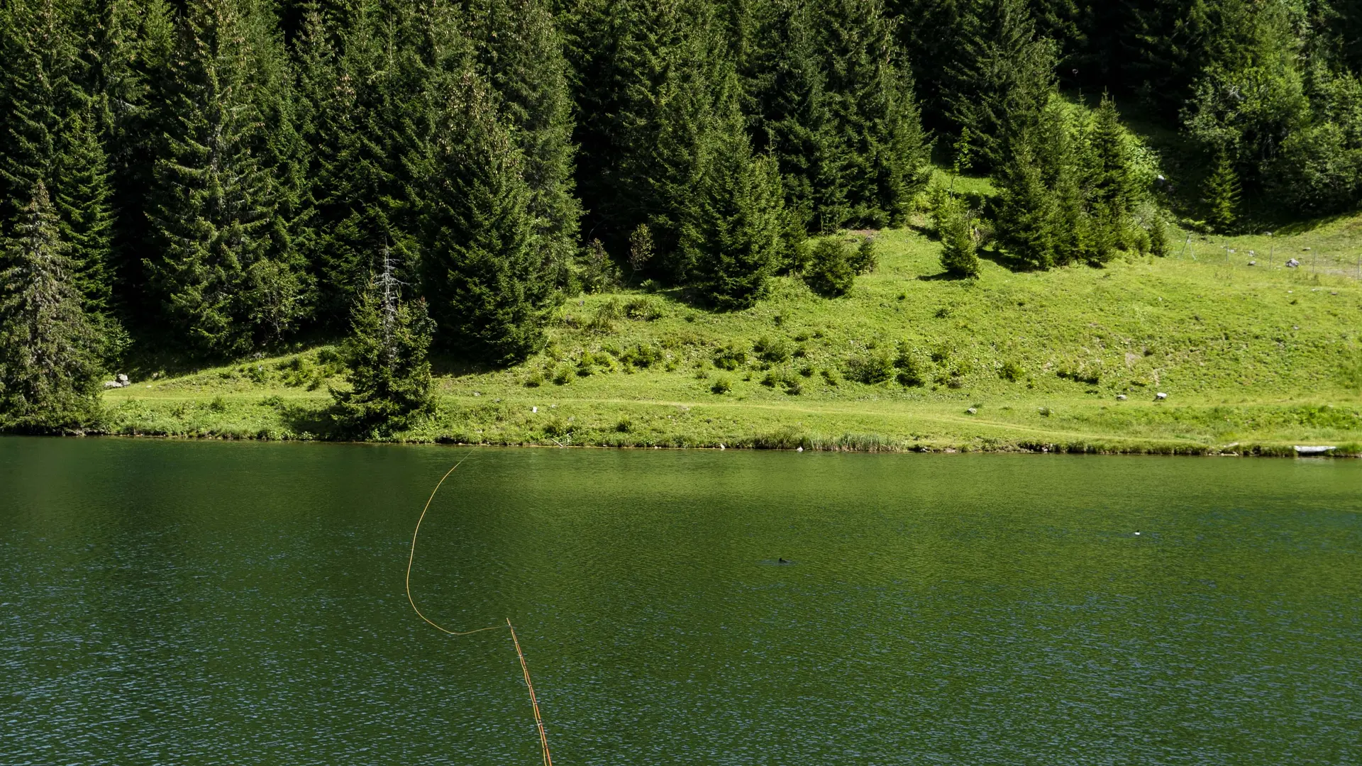 Pêche au Lac de la Mouille