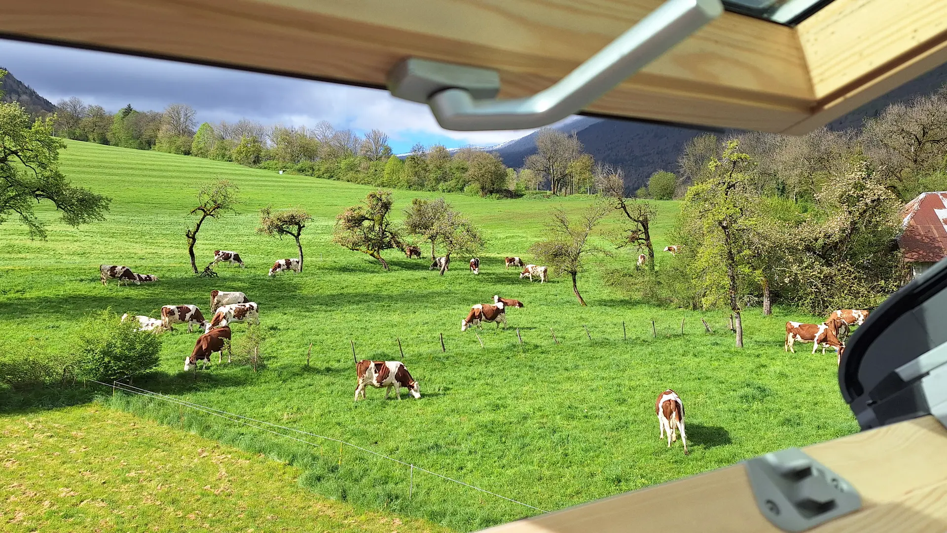 Vue sur les prés patûrés